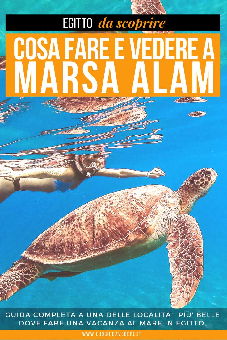 Cosa fare e vedere a Marsa Alam: escursioni, tour, attività, luoghi da vedere, mare e spiagge