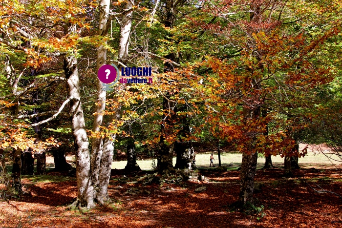 Fall Foliage in Italia: Parco Nazionale d'Abruzzo