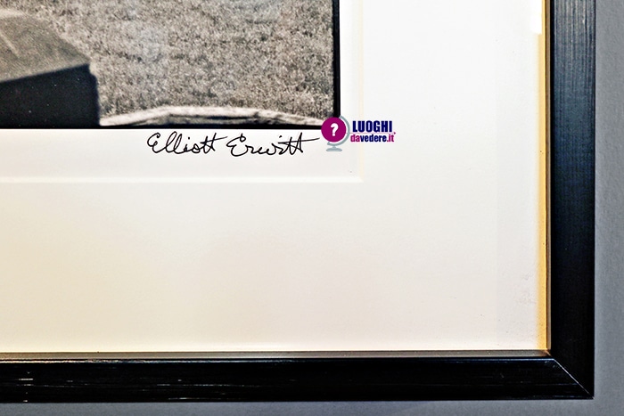 Mostra fotografica "Elliott Erwitt - Icons" a Terni (Umbria)