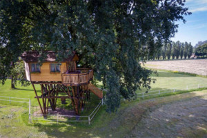 Case sull'albero in cui pernottare in Italia: dove sono e come prenotarle