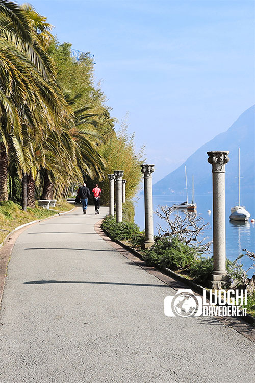 Sentiero dell’olivo: passeggiata da Castagnola a Gandria con vista sul Lago di Lugano