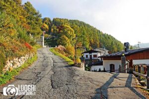 Escursione facile al Pian delle Betulle: dall'Alpe Paglio a Larice Bruciato