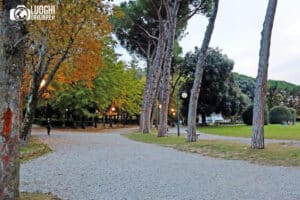 Cosa vedere ad Arezzo in 1 giorno: itinerario completo con MAPPA
