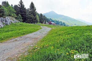 Escursione ai Piani di Artavaggio: Rifugio Nicola e Monte Sodadura