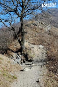 Escursione sul Monte Barro da Galbiate: trekking facile in Lombardia (vicino Lecco)