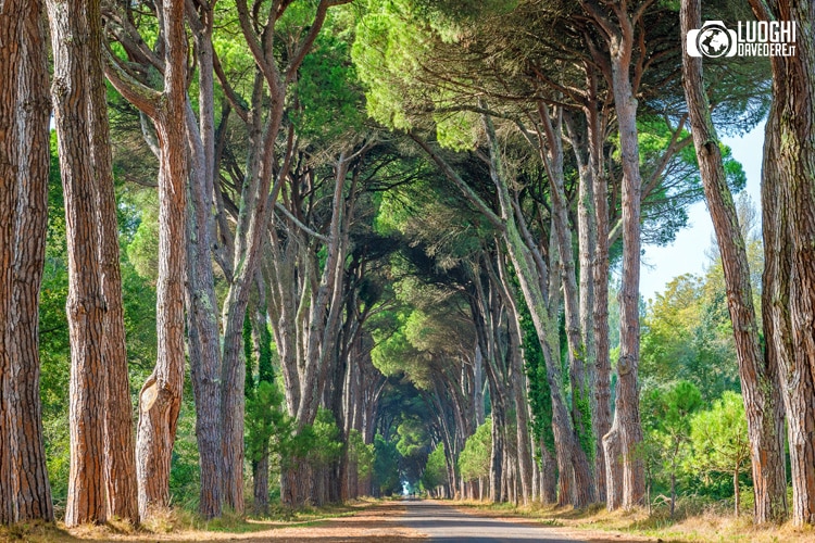 25 gite fuori porta in Toscana da fare in giornata