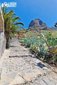 Come arrivare e cosa vedere a Masca | Tenerife