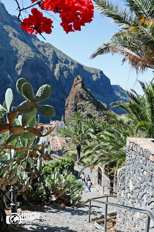 Come arrivare e cosa vedere a Masca | Tenerife